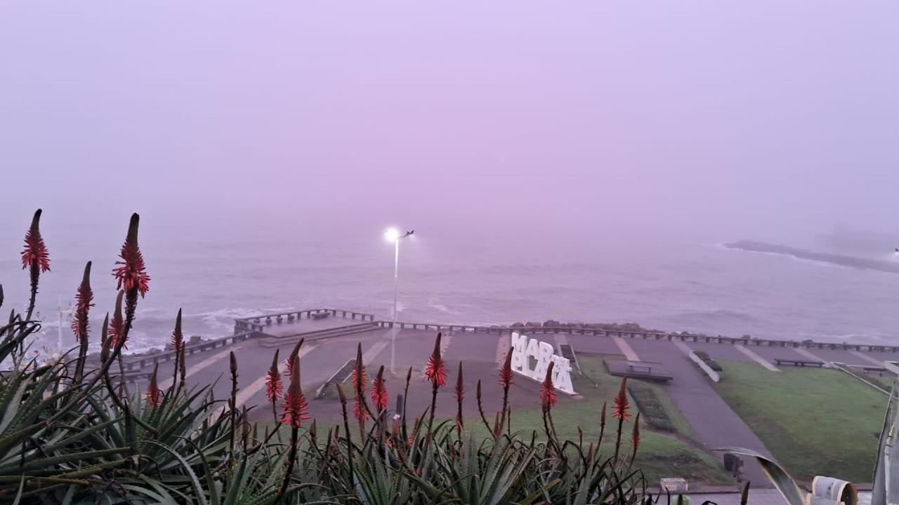 Apartamento Depto 1 Ambiente Mar del Plata